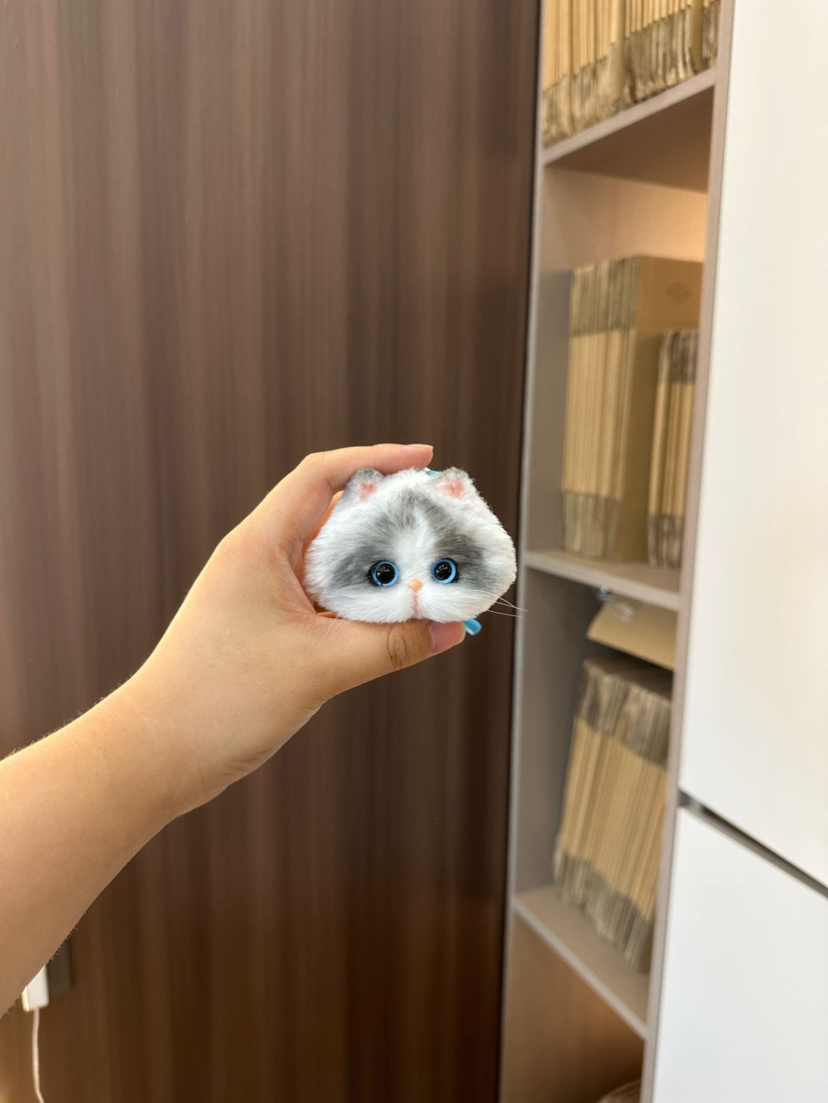 Lox 手工扭扭棒貓咪頭