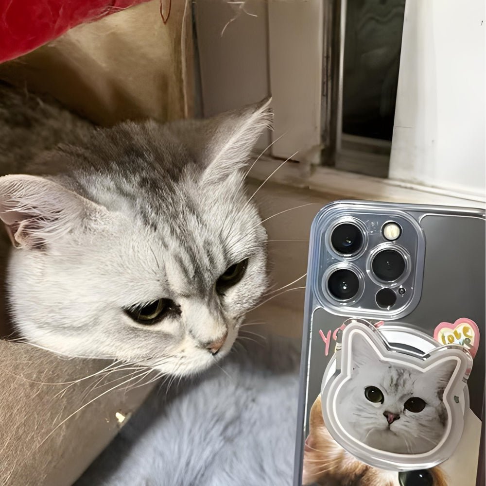 手機就是我第二個大腦，但我差點忘了：毛孩才是我最在乎的事 - Lox ｜ 個性化你的個性