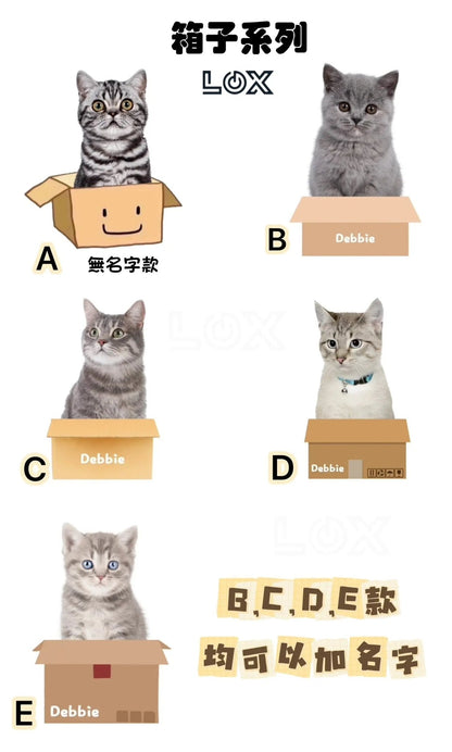 Lox - 搖頭桌面小物 紙箱系列 - Lox ｜ 個性化你的個性