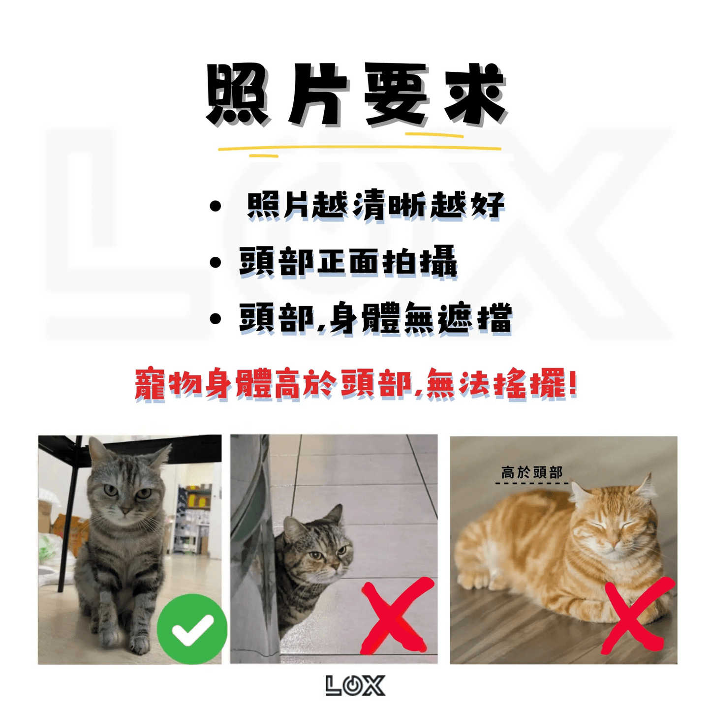 Lox - 搖頭桌面小物 杯子系列 - Lox ｜ 個性化你的個性