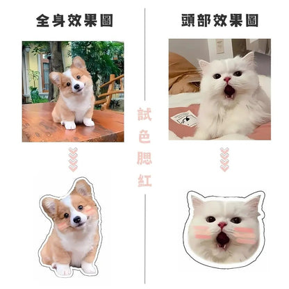 滴膠磁吸手機氣囊支架 腮紅系列 - Lox ｜ 個性化你的個性