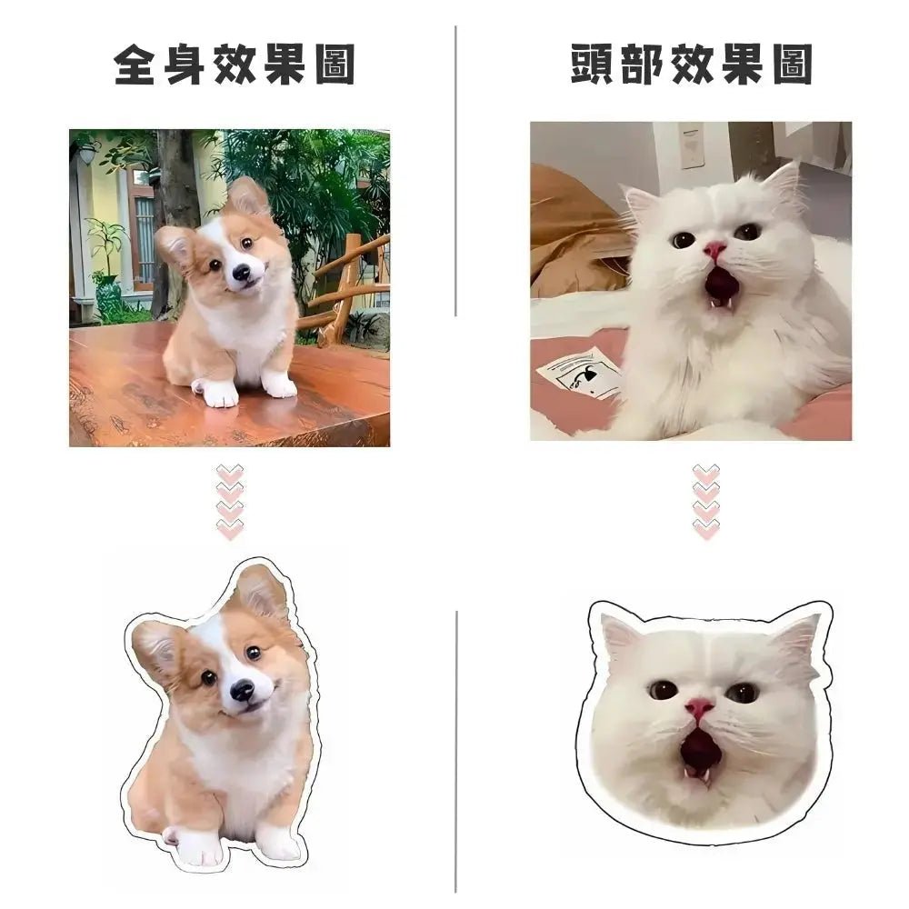 滴膠磁吸手機氣囊支架 腮紅系列 - Lox ｜ 個性化你的個性