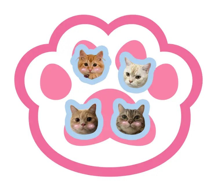 轉轉Q頭磁吸支架 QT001 - Lox ｜ 個性化你的個性